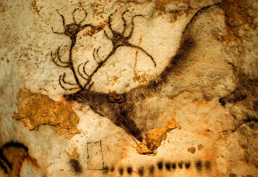 Rappresentazione rupestre di cervide del Paleolitico (grotte di Lascaux, Francia).