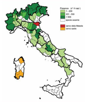 Presenza del Cervus elaphus in Italia fino al 2005 (Banca Dati Ungulati, Rapporto ISPRA 2001-2005).
