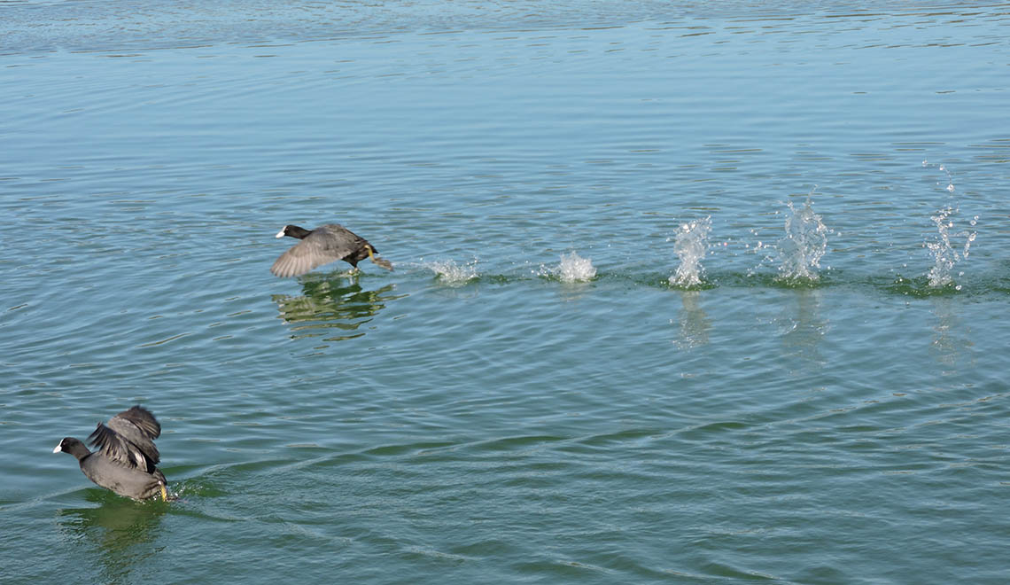 Il lago di Follicola