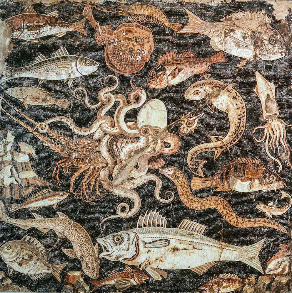 Mosaico con pesci dalla Casa del fauno di Pompei (Napoli, Museo Archeologico).