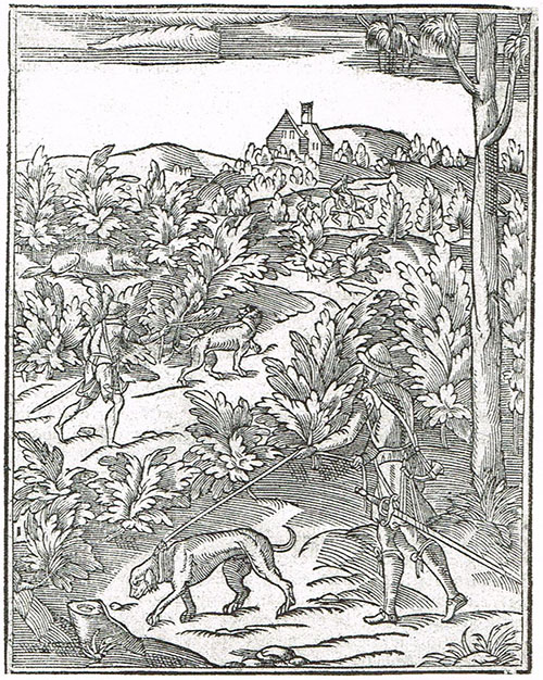 Immagine dal testo di Jean de Clamorgan, La chasse du loup, 1588